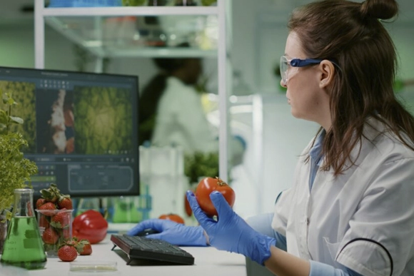 Sistema De Gestión De La Seguridad Alimentaria